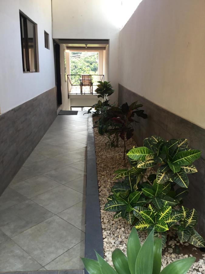 ホテル Brand New House Alajuela Near The Airpor エクステリア 写真