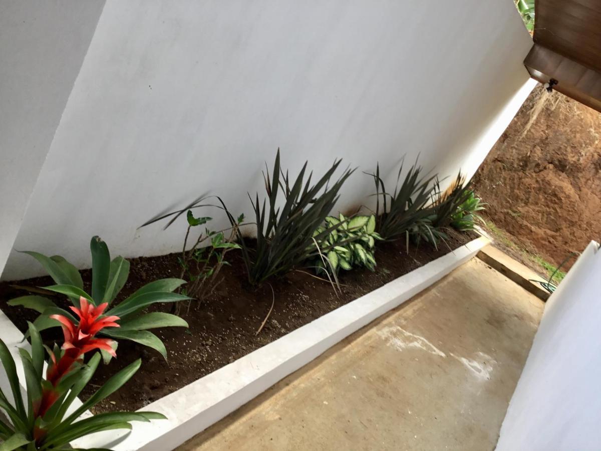 ホテル Brand New House Alajuela Near The Airpor エクステリア 写真